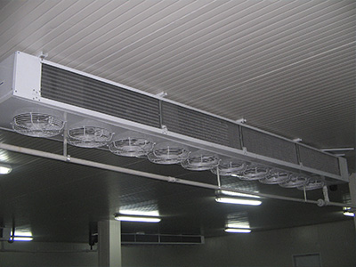 Duall flores - cuarto frio