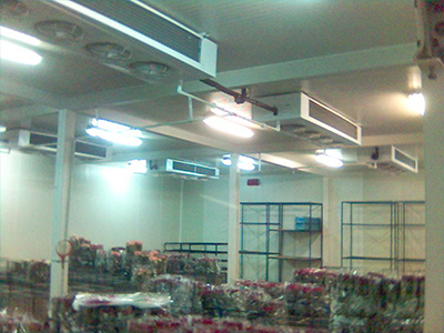 Humedad alta en cuarto frio