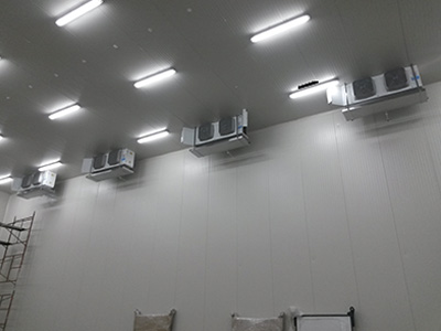 luces de cuarto frio